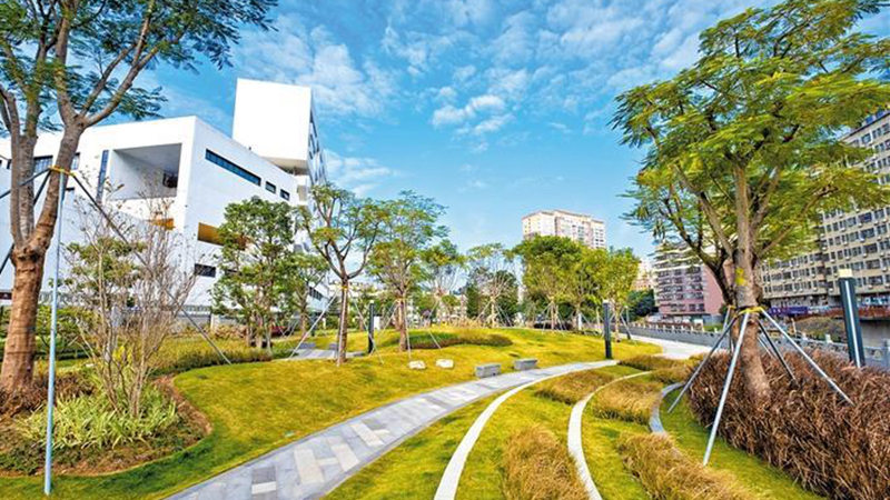 开元油松滨水公园2_副本.jpg