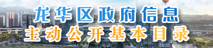 开元政府信息主动公开基本目录