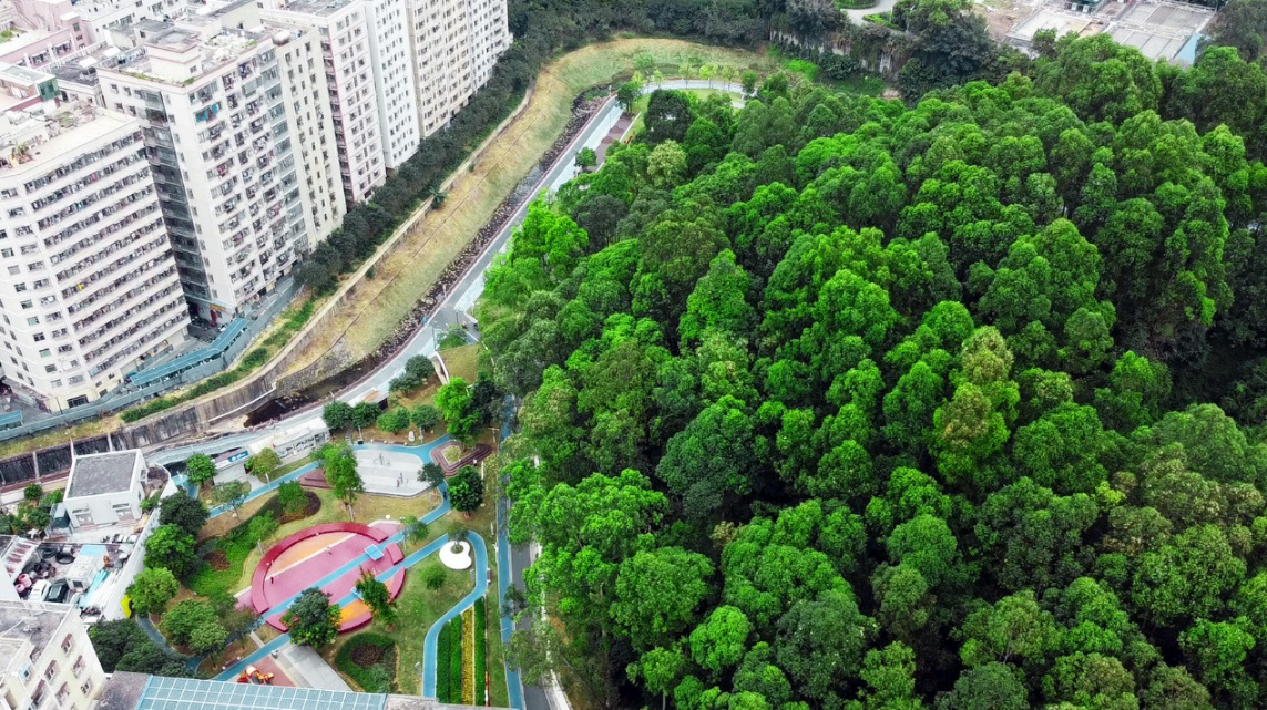 福城街道兴富社区1.png