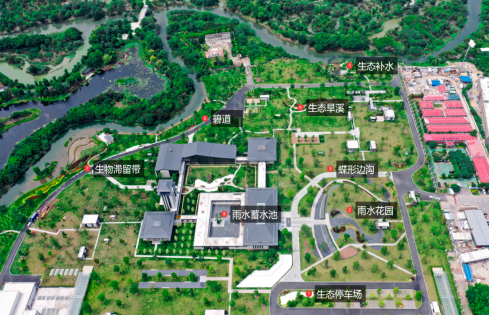 11031266 (4).png