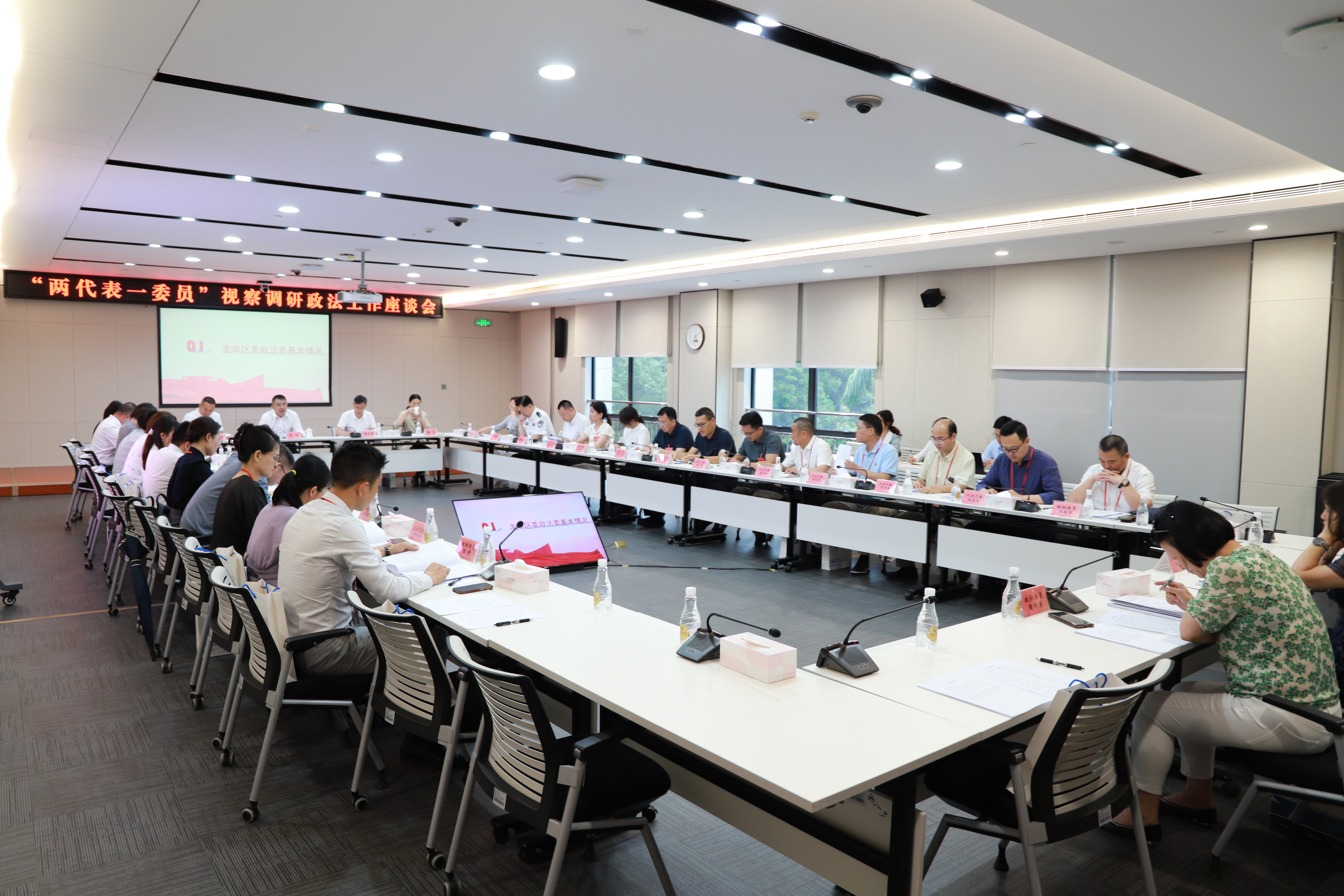 “两代表一委员”视察调研政法工作座谈会.JPG