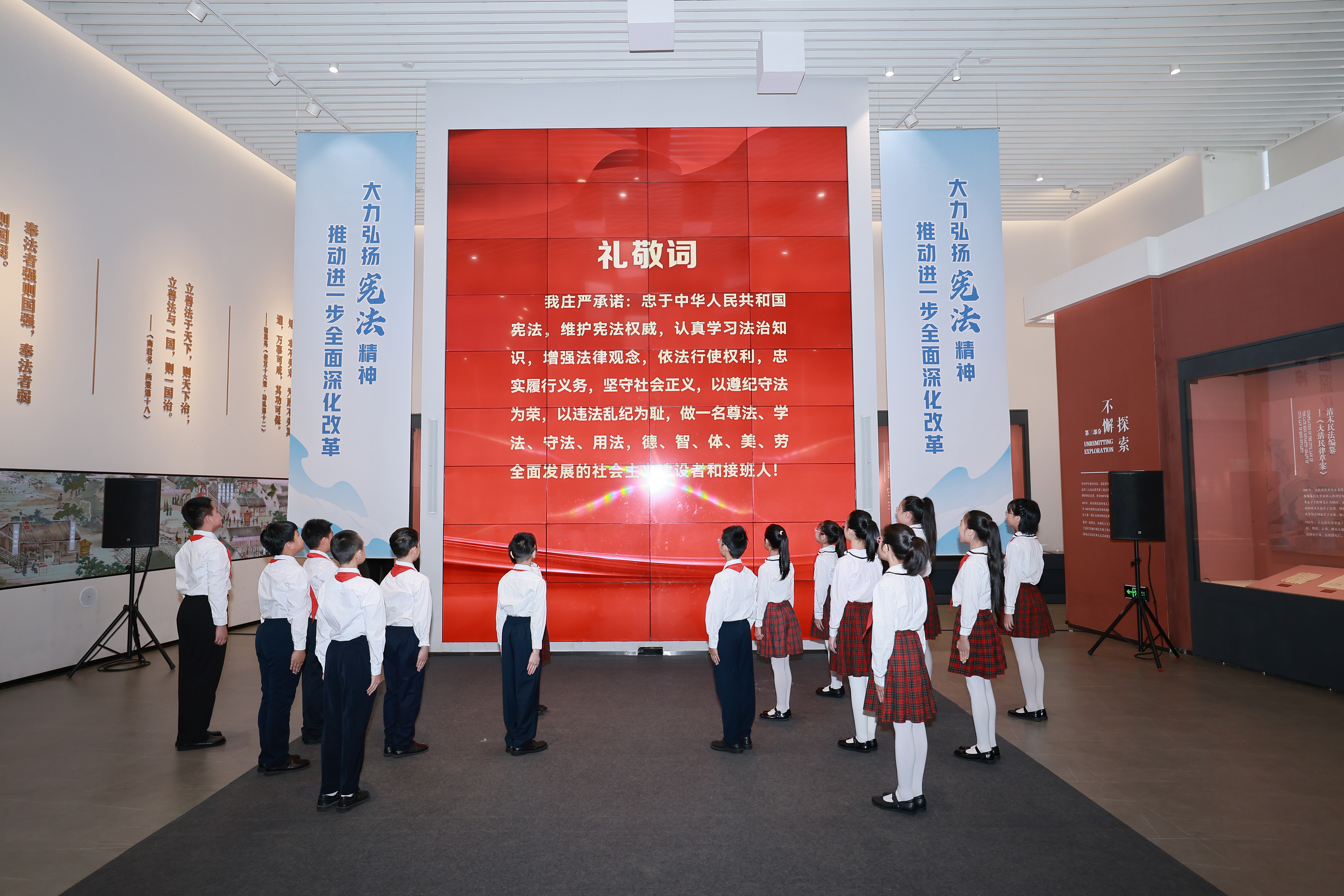 礼敬宪法.JPG