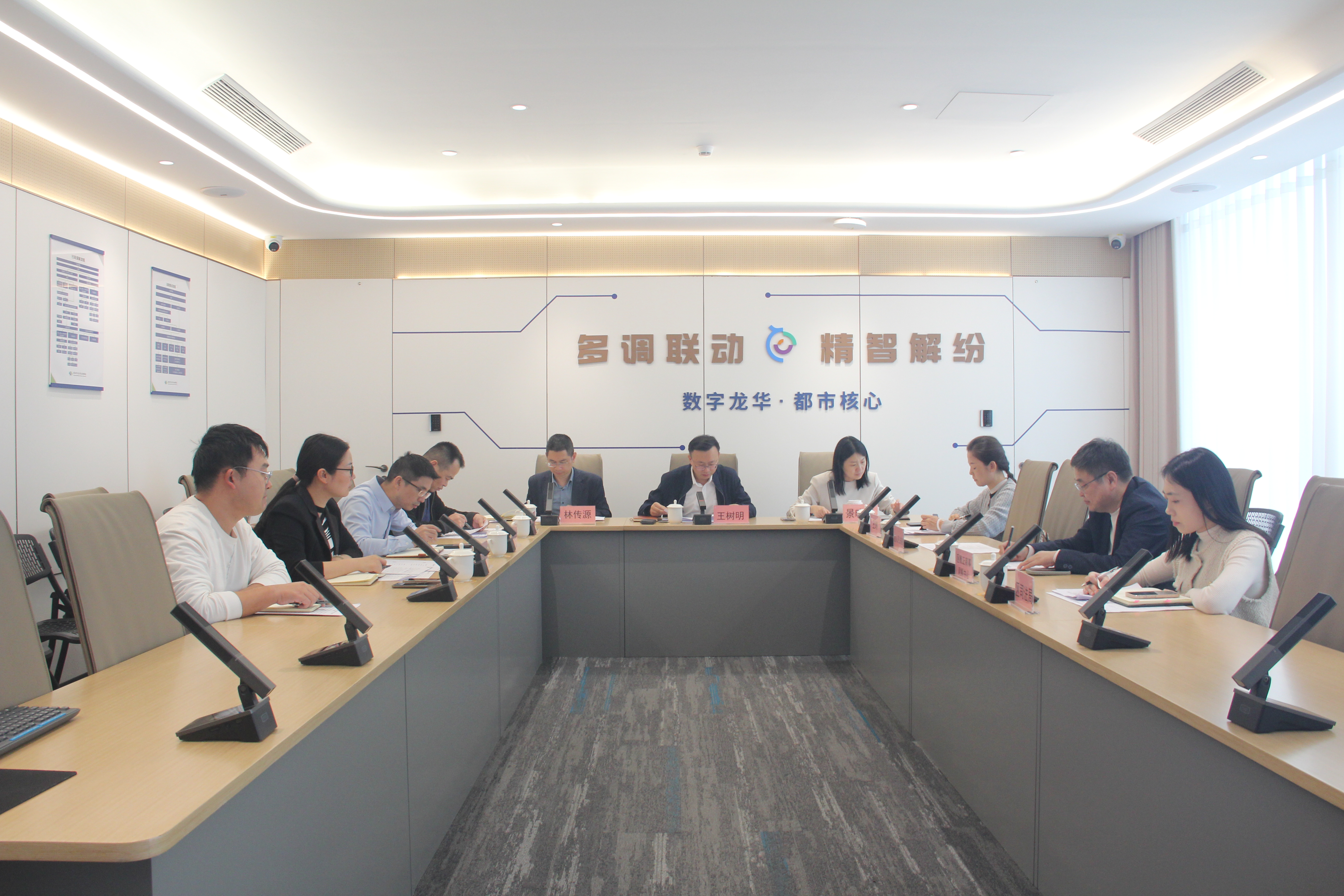 调解院第十二次理事会会议.JPG