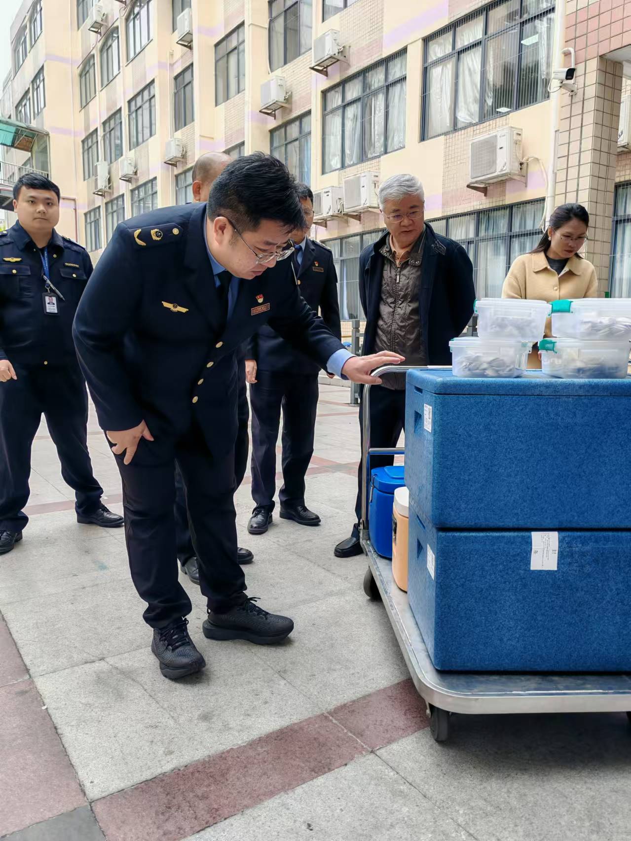 17221358861958950146.jpg