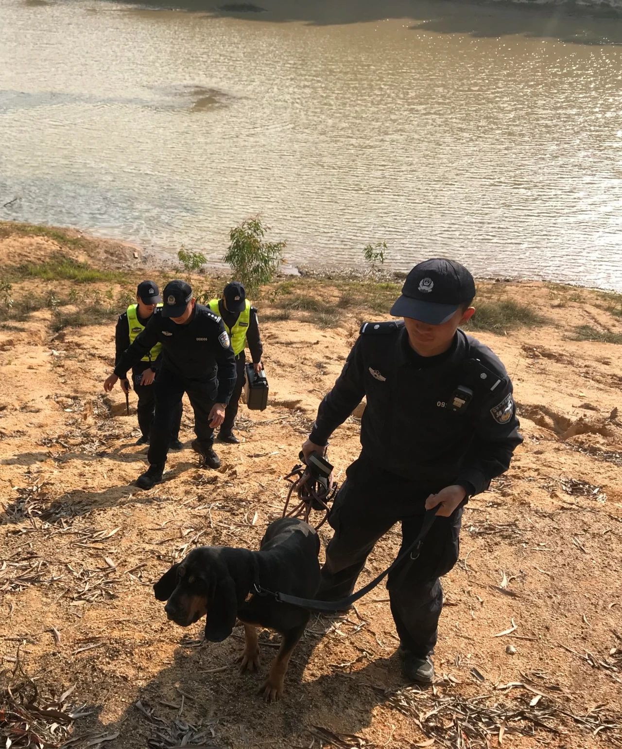 开元分局民警携警犬在某水域附近开展失联人员搜救工作.jpg