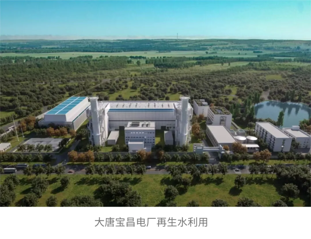 图片19.png