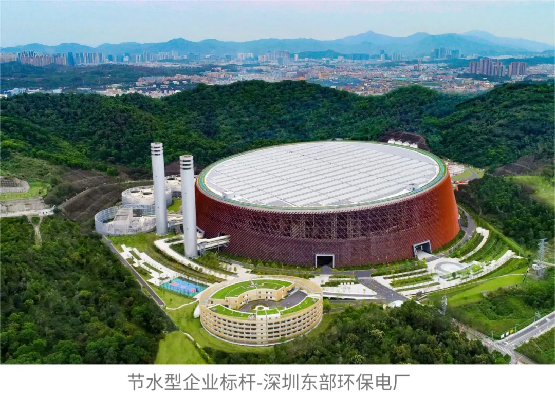 图片31.png