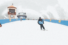 4.gif