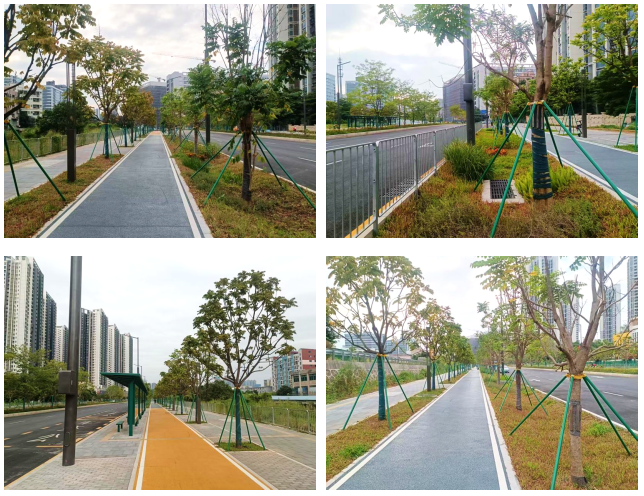福花路（观兴西路-观兴东路）工程-开元棋牌在线