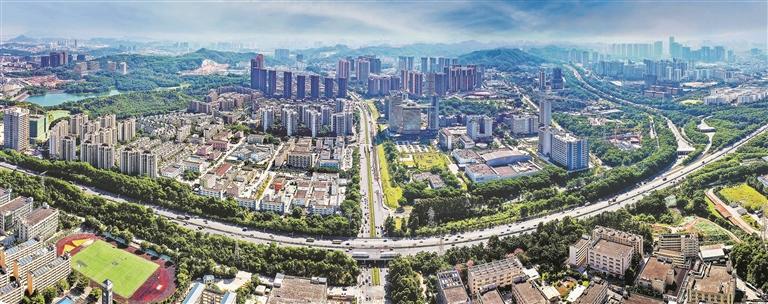 数智开元：一座未来之城的“全域蝶变”