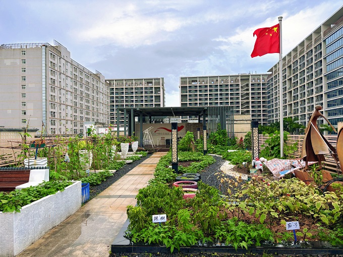 楼顶有菜园、夜里有课堂，福城街道兴富社区党群服务中心成为居民“第二个家2.jpg