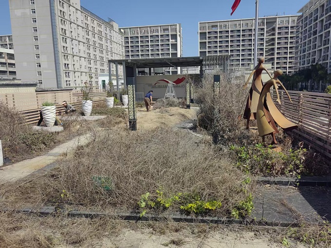 楼顶有菜园、夜里有课堂，福城街道兴富社区党群服务中心成为居民“第二个家1.jpg
